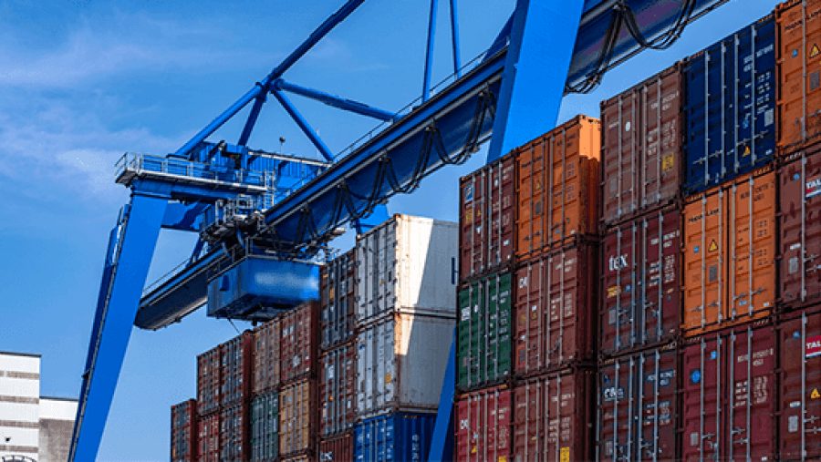 Ocean export freight services